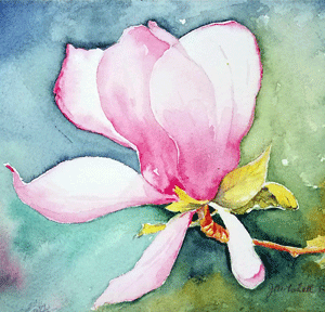 Magnolia